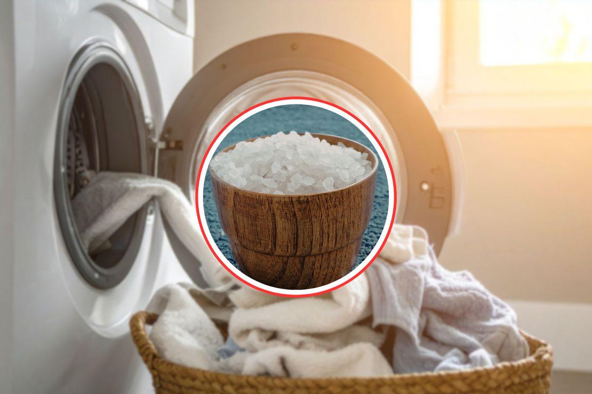 lavatrice aperta con bucato e sale grosso in primo piano